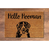 9acd0937-8551-496d-9ebf-c2c0fafbd8b2