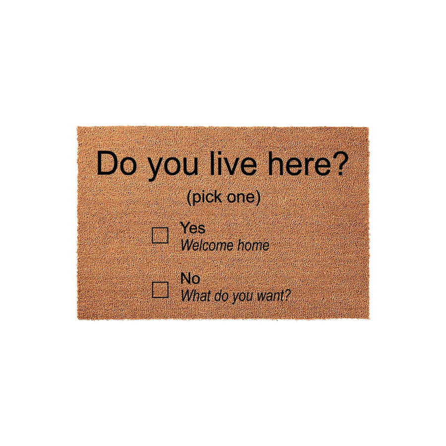 Funny Do You Live Here Doormat featuring a humorous checklist design on a natural coir fiber mat, with checkboxes for Yes Welcome Home or No What Do You Want, making it a witty and functional front porch decor piece for any home