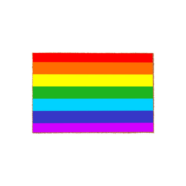 Rainbow Pride Flag Coir Doormat featuring a vibrant horizontal striped design in classic pride colors, set against a clean white background to highlight the textured natural fiber material of this welcoming outdoor entrance floor