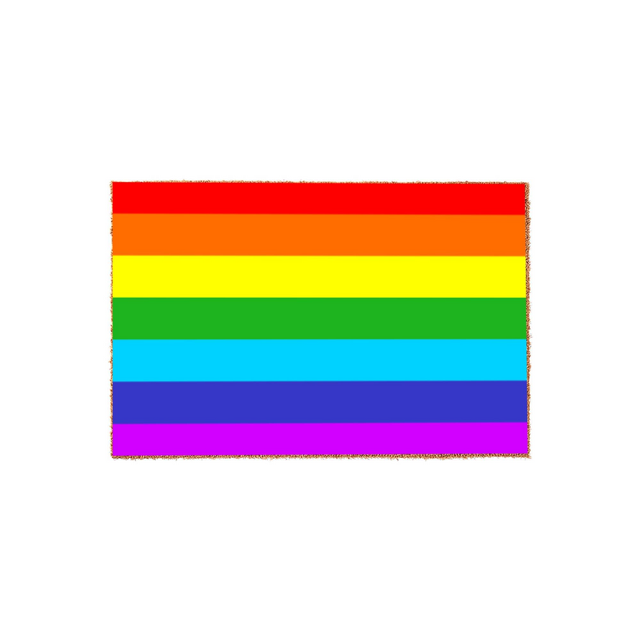 Rainbow Pride Flag Coir Doormat featuring a vibrant horizontal striped design in classic pride colors, set against a clean white background to highlight the textured natural fiber material of this welcoming outdoor entrance floor