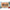 1e4c58bb-c3be-4bba-a229-f5e699cd51f7