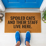 doormat, doormats, funny doormat, funny doormats, welcome mat, door mat, Funny Cat Doormat, Housewarming Gift, cat lover gift, cat doormat, cat welcome mat, funny welcome mat, new home gift